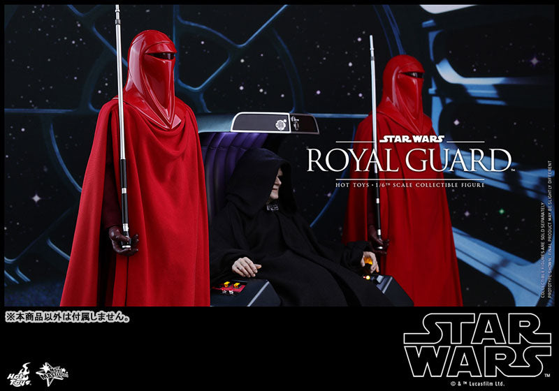 Movie Masterpiece "Star Wars Episode VI: Return of the Jedi" 1/6 Scale Figure: Royal Guard