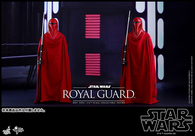 Movie Masterpiece "Star Wars Episode VI: Return of the Jedi" 1/6 Scale Figure: Royal Guard