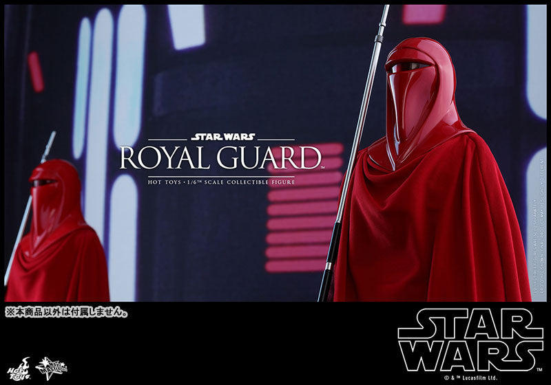 Movie Masterpiece "Star Wars Episode VI: Return of the Jedi" 1/6 Scale Figure: Royal Guard