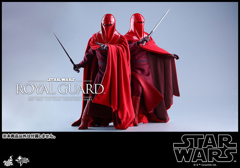 Movie Masterpiece "Star Wars Episode VI: Return of the Jedi" 1/6 Scale Figure: Royal Guard