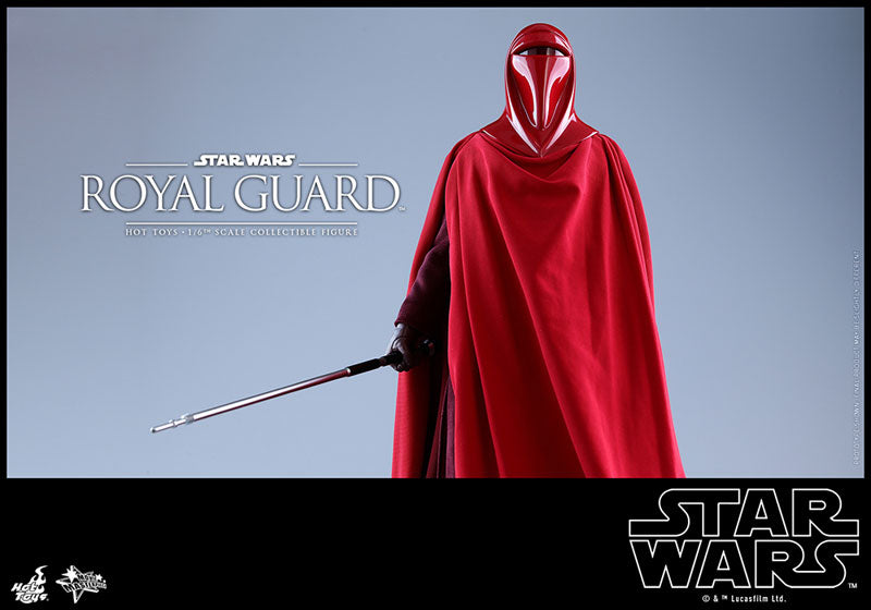 Movie Masterpiece "Star Wars Episode VI: Return of the Jedi" 1/6 Scale Figure: Royal Guard