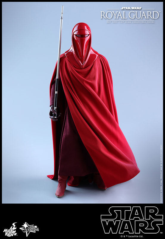 Movie Masterpiece "Star Wars Episode VI: Return of the Jedi" 1/6 Scale Figure: Royal Guard