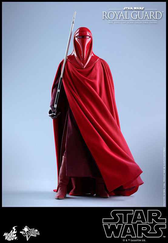 Movie Masterpiece "Star Wars Episode VI: Return of the Jedi" 1/6 Scale Figure: Royal Guard