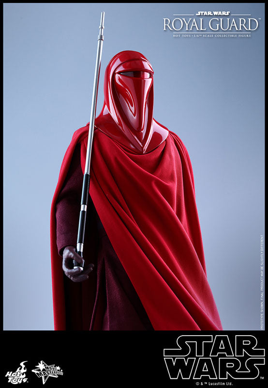 Movie Masterpiece "Star Wars Episode VI: Return of the Jedi" 1/6 Scale Figure: Royal Guard