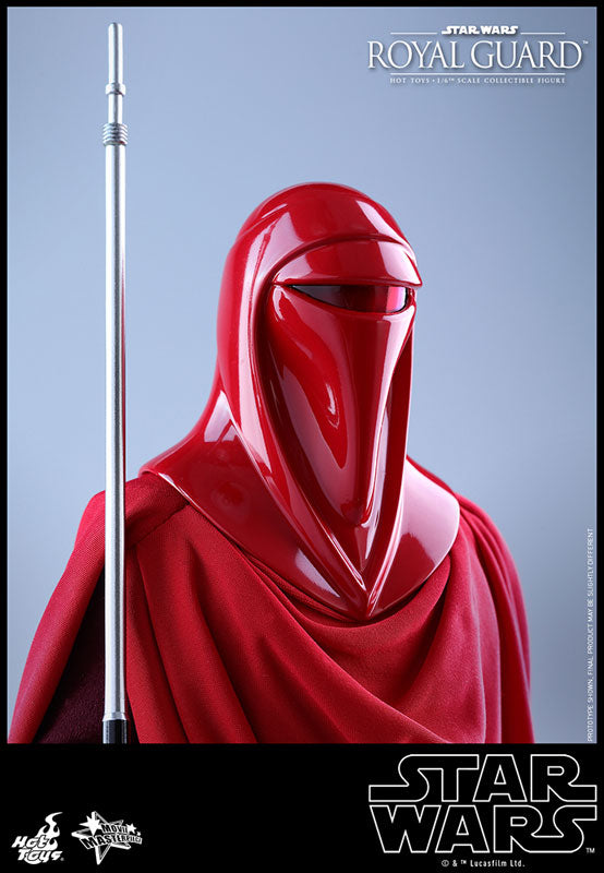 Movie Masterpiece "Star Wars Episode VI: Return of the Jedi" 1/6 Scale Figure: Royal Guard