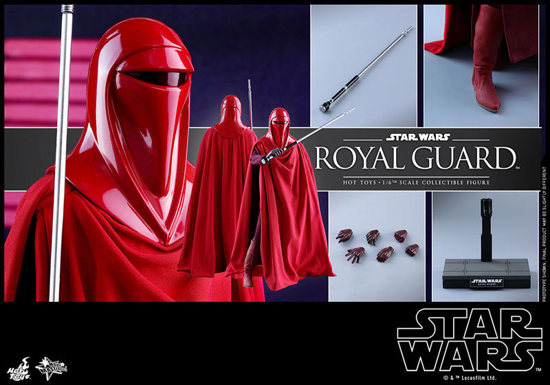 Movie Masterpiece "Star Wars Episode VI: Return of the Jedi" 1/6 Scale Figure: Royal Guard