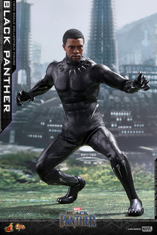 Movie Masterpiece "Black Panther" 1/6 Scale Figure Black Panther