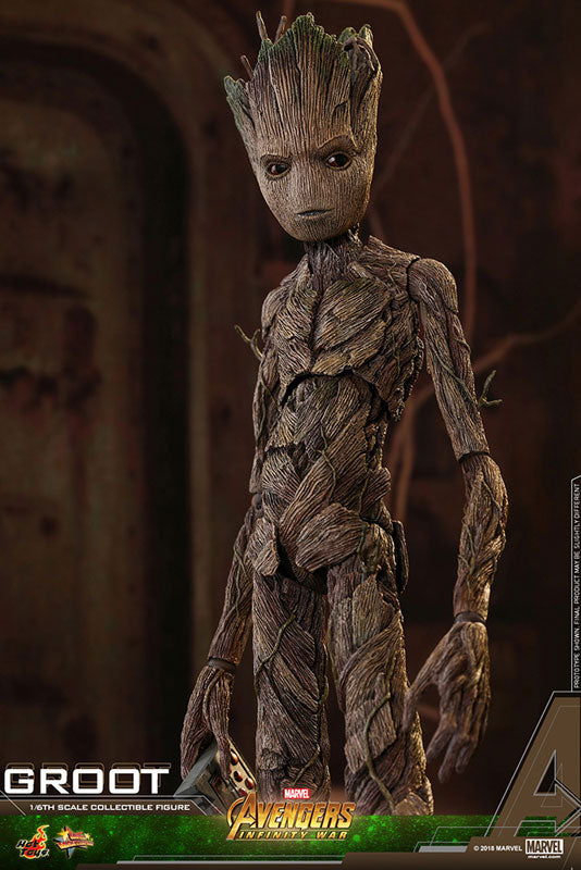 Movie Masterpiece "Avengers: Infinity War" 1/6 Scale Figure Groot