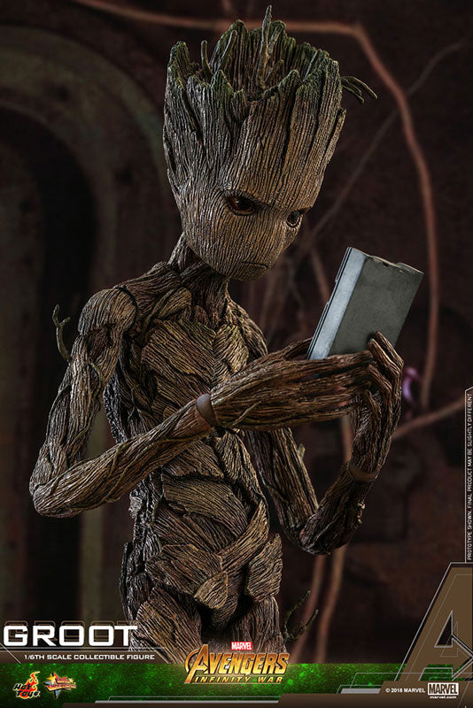 Movie Masterpiece "Avengers: Infinity War" 1/6 Scale Figure Groot