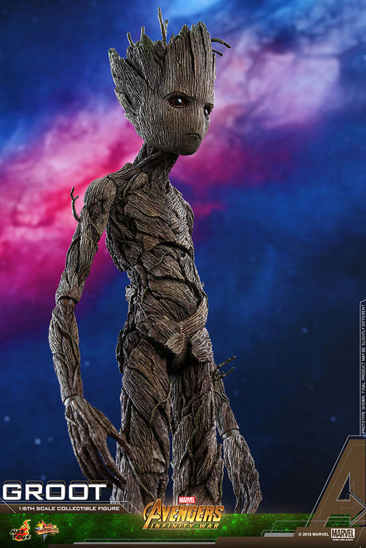 Movie Masterpiece "Avengers: Infinity War" 1/6 Scale Figure Groot