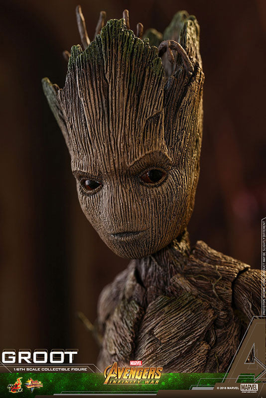 Movie Masterpiece "Avengers: Infinity War" 1/6 Scale Figure Groot