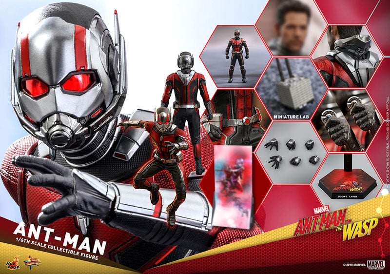 Movie Masterpiece "Ant-Man and the Wasp" 1/6 Scale Figure Ant-Man