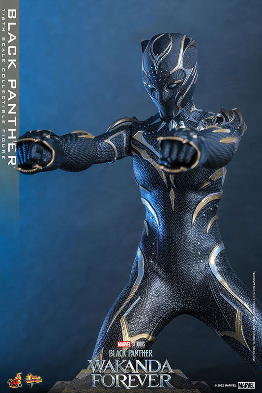 Movie Masterpiece "Black Panther: Wakanda Forever" 1/6 Scale Figure Black Panther