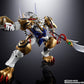 Soul of Chogokin GX-119 Long Hu Wang / Hu Long Wang "Super Robot Wars OG"
