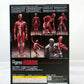 figma SP142 Human Anatomical Model