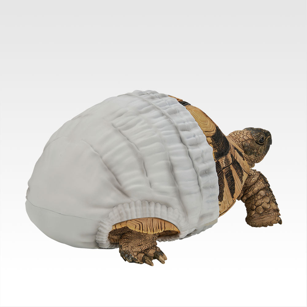 Reptiles & Amphibians -Tiny Friends- Vol. 2 Hermann's Tortoise Figure - Room Stroll Ver. [Ichiban-Kuji Prize C]