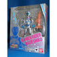 S.H.Figuarts Kamen Rider Nadeshiko, Action & Toy Figures, animota