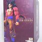 S.H.Figuarts Super Saiyan 4 Son Goku "Dragon Ball GT", animota