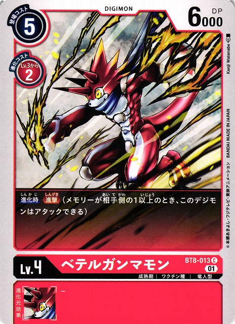 BetelGammamon BT8-013 C
