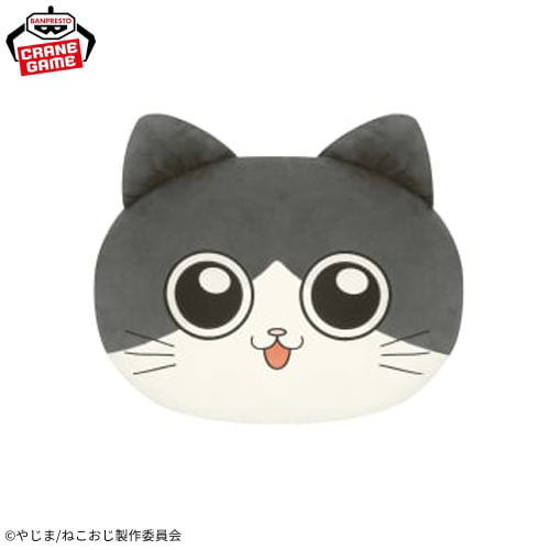 The Guy That Got Reincarnated as a Cat - Face-Shaped Plush Cushion - Pun-chan