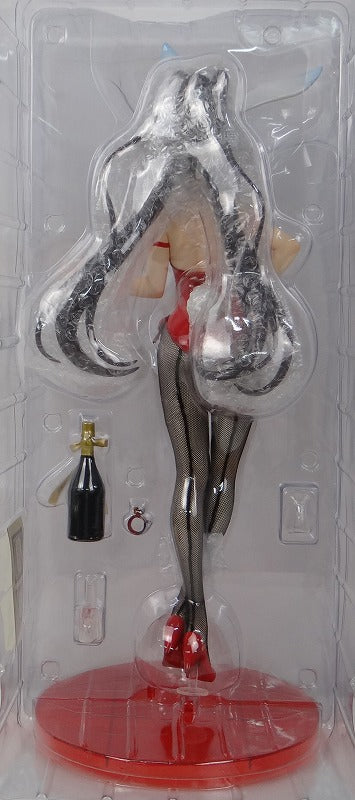 FREEing IS -Infinite Stratos- Shinonono Houki Bunny Ver. 1/4 PVC