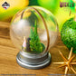 Wicked: For Good Dome Figure [Ichiban-Kuji Prize Last One]
