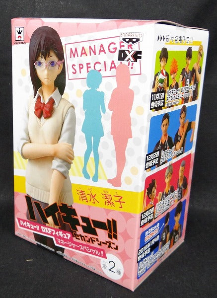Haikyu !! Second Season Manager Special DXF Figure Kiyoko Shimizu | animota