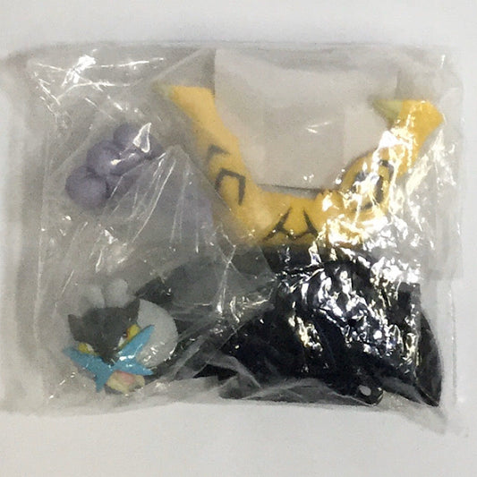 Pocket Monster Three -dimensional Pokemon Picture Book DP14 3 Raikou | animota