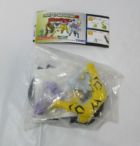 Pokemon Three -dimensional Pokemon Picture Book Special03 10 Raikou | animota