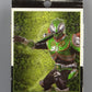 Rider Hero Series EX Kamen Rider Verde | animota