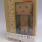 Revoltech Danbo Amazon Boxver. | animota