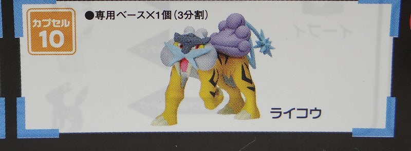 Pokemon Three -dimensional Pokemon Picture Book Special03 10 Raikou | animota