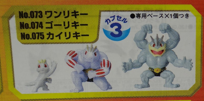 Pokemon Three -dimensional Pokemon Picture Book 5 Volume 03 Wan Riky/Goricie/Kairiky | animota