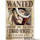 "One Piece" Characters Wanted Poster | animota